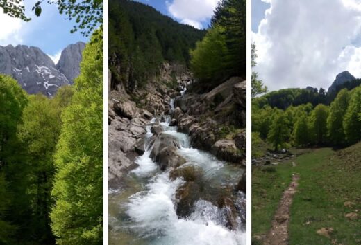 Propuestas primaverales: Senderismo y BTT en la Selva de Irati