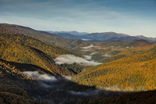 Otoño, la época ideal para conocer la Selva de Irati