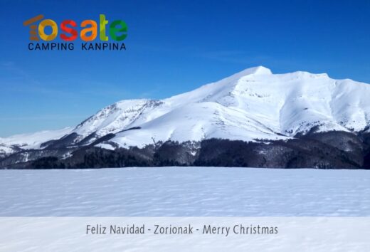Feliz Navidad – Zorionak eta Urte Berri on