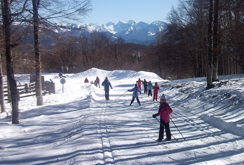 Campaña escolar de esquí de fondo