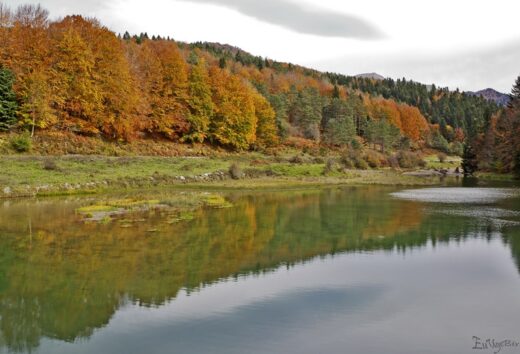 Otoño en Irati