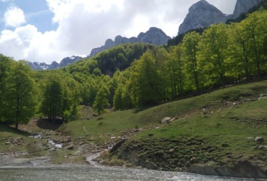 Primavera, esplendor en la Selva de Irati y el Pirineo